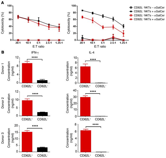 CD62L+ and CD62L– NKTs have comparable cytotoxicity, but CD62L+ subset i...