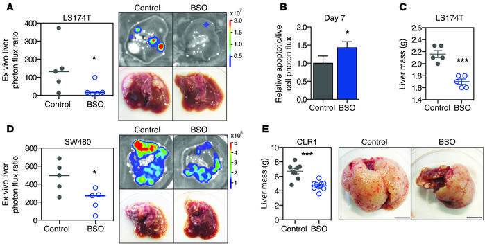 Targeting of glutathione synthesis as a therapeutic strategy.
(A) 5 × 10...