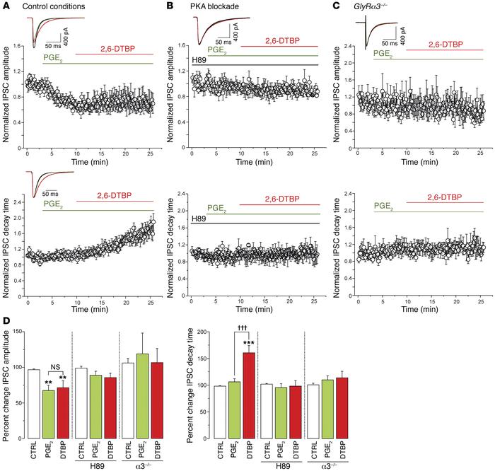 Pretreatment with PGE2 renders synaptic α3βGlyRs susceptible to modulati...