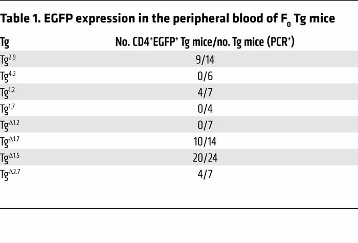 EGFP expression in the peripheral blood of F0 Tg mice