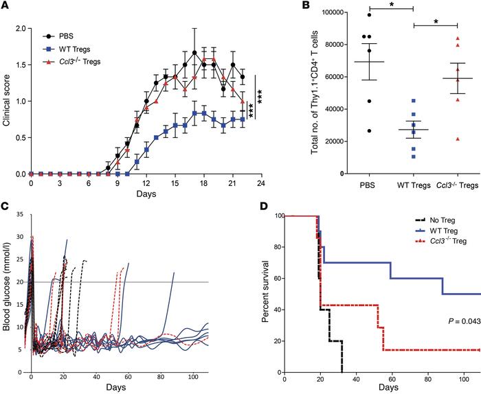 
Ccl3–/– Tregs fail to reduce the progression and severity of EAE or to ...