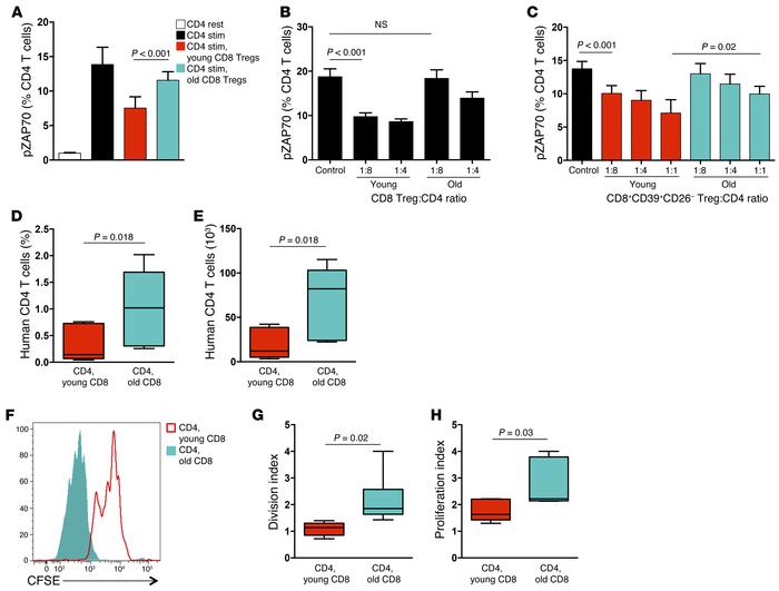 The suppressive function of CD8 Tregs is deficient in older individuals....