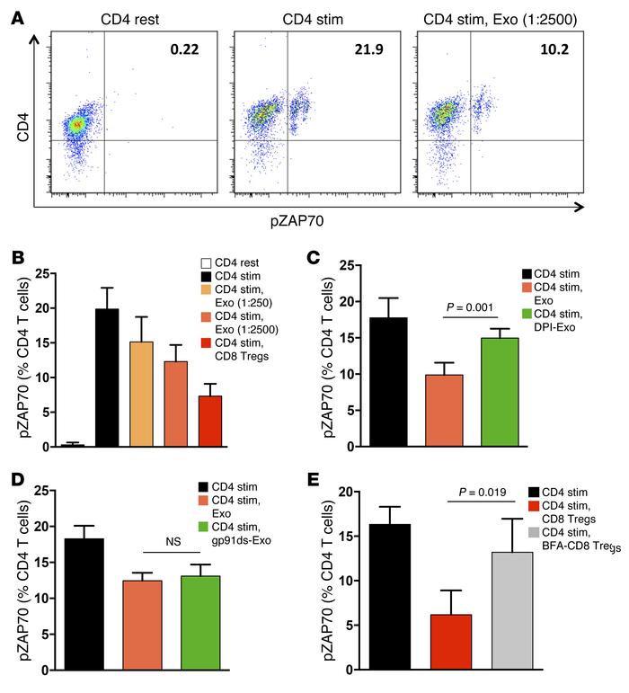 The suppressive function of CD8 Treg-derived exosomes depends on ROS pro...