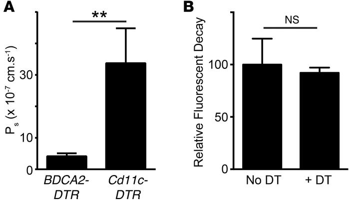 Evaluation of lymphatic permeability and transport in mice following acu...