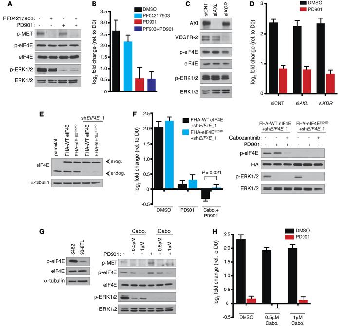 Cabozantinib cooperates with PD901 by suppressing MNK and eIF4E phosphor...