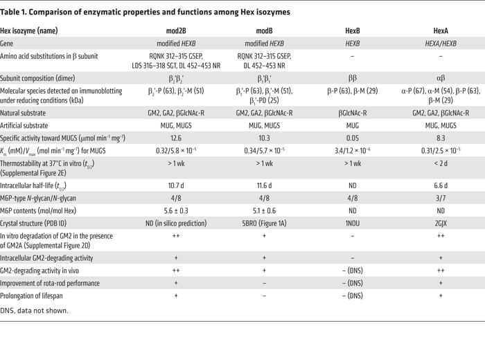 Comparison of enzymatic properties and functions among Hex isozymes