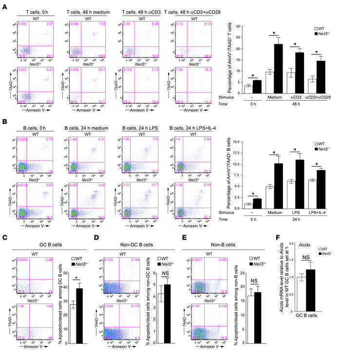 Percentages of apoptotic/dead T, B, and GC B cells and Aicda mRNA levels...