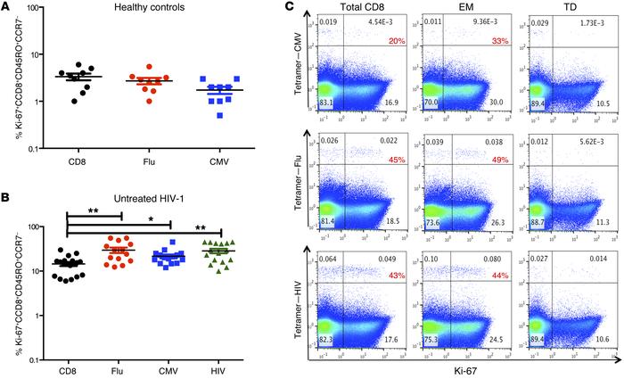 Increased cycling in CD8+ memory T cells that bind CMV, influenza, and H...