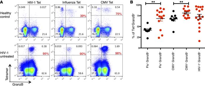 Increased granzyme B expression among peptide–tetramer–binding CD8+ T ce...