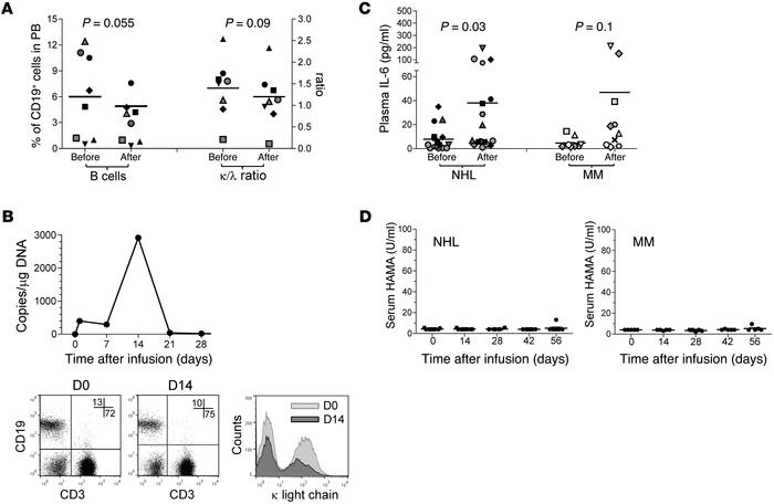 Biological effects observed after κ.CART infusion.
After κ.CART infusion...