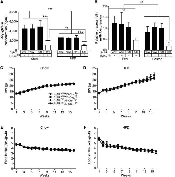 Ghrelin cell–selective β1AR deletion blocks HFD-induced reductions in gh...