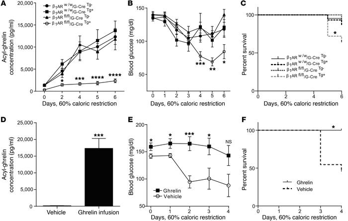 Mice with ghrelin cell–selective β1AR deletion demonstrate a blunted ghr...