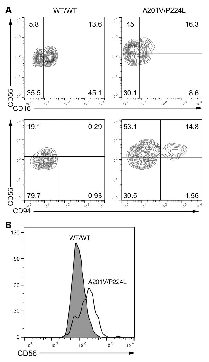 Impairment in terminal NK cell differentiation is NK cell intrinsic.
CD3...