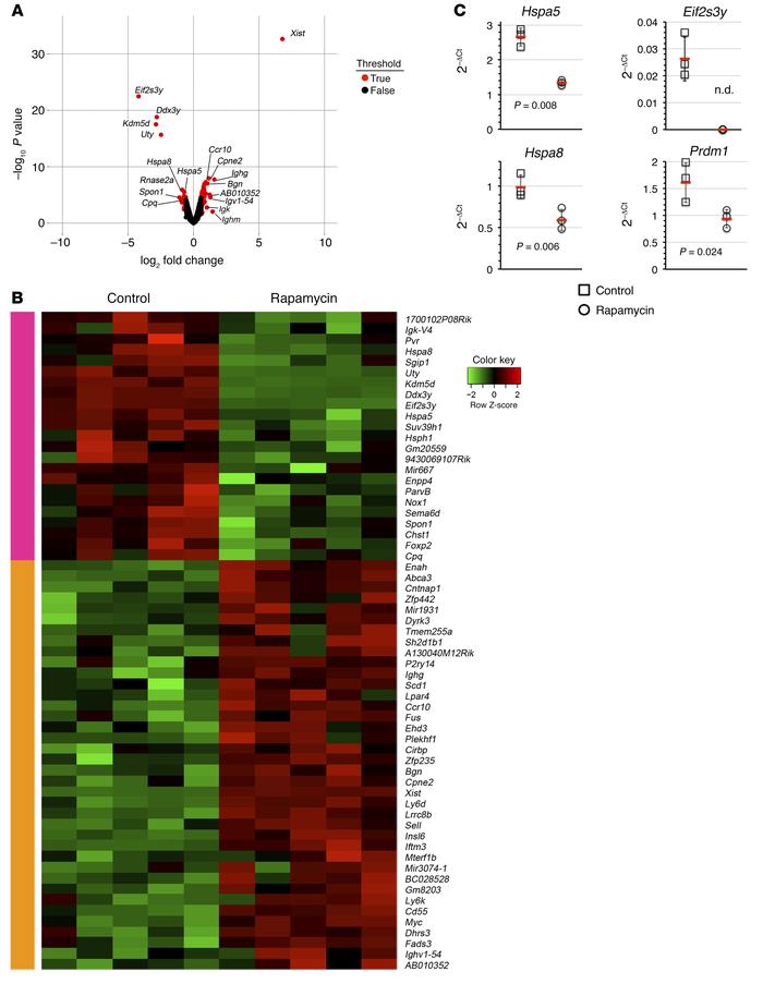 mTOR signaling regulates genes required for efficient protein translatio...