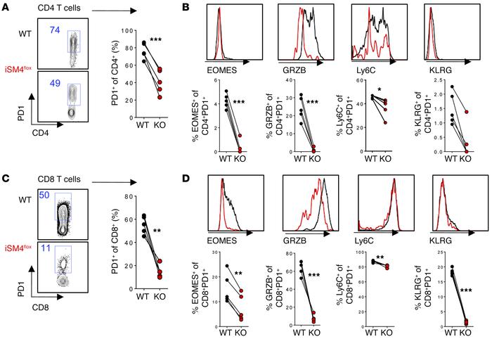 SMAD4 is required for accumulation and differentiation of CD4 and CD8 T ...