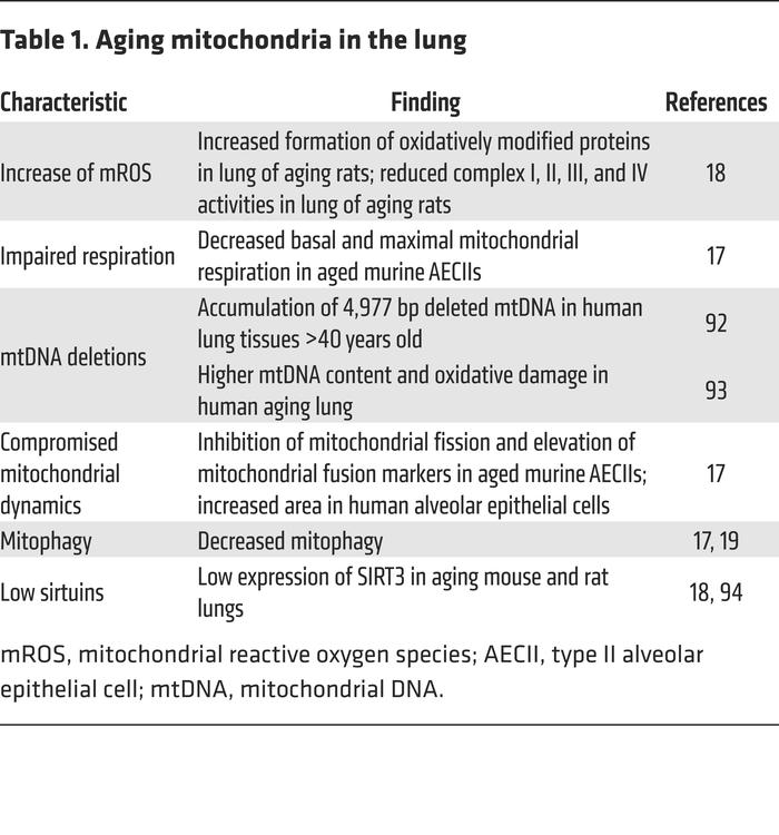 Aging mitochondria in the lung