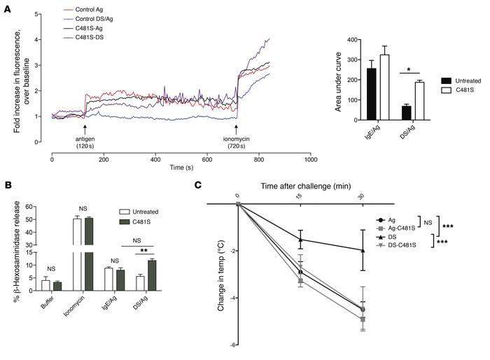 Manipulation of the actin cytoskeleton reverses desensitization in vitro...