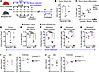 Ephrin B2 neutralization reduces hematopoietic cell mobilization attributab