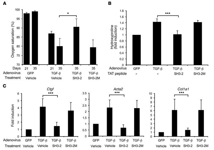 TAT–SH3-2 stabilizes lung function in adenovirus–TGF-β model of pulmonar...