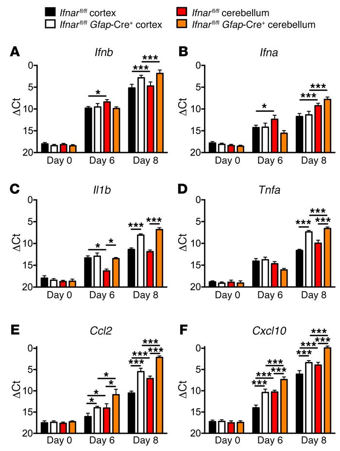 Cytokine and chemokine expression in the CNS following s.c. inoculation....