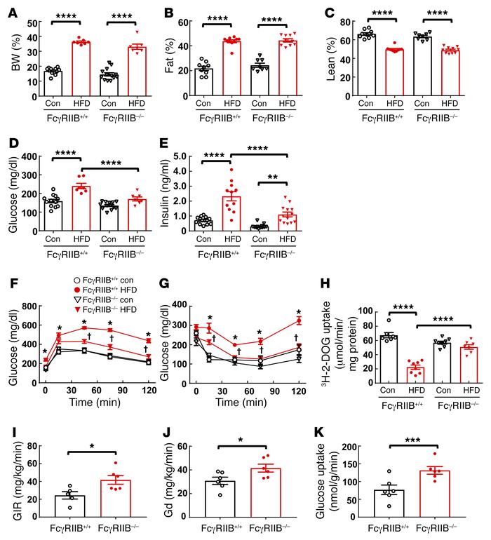 FcγRIIB–/– mice are protected from obesity-induced glucose intolerance a...