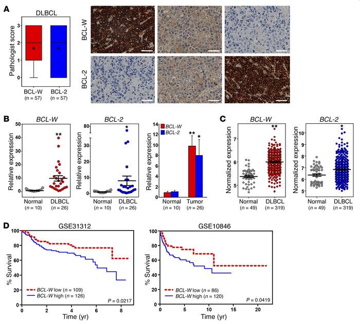 Increased expression of BCL-W in DLBCL correlates with poor patient surv...