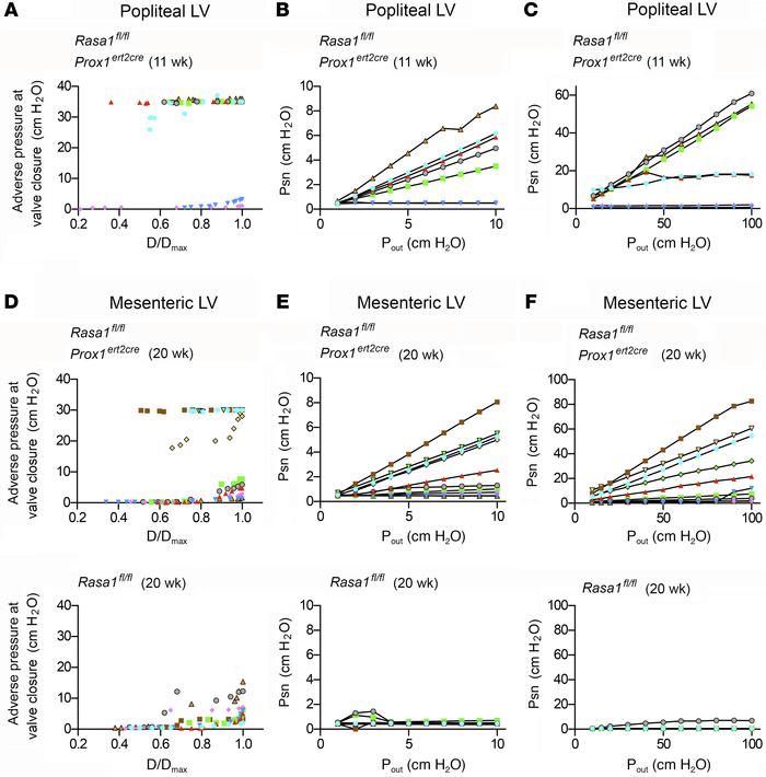 Specific induced loss of RASA1 within LECs results in dysfunction of pop...