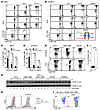 Addition of BLyS prevents AM14 and WT B cells from undergoing proliferation