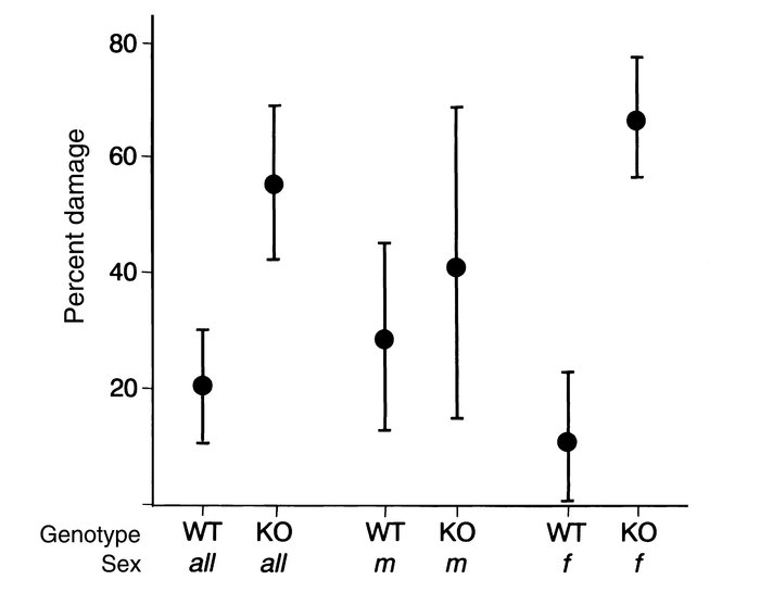 Increased myocarditis severity in apoJ-deficient mice. The results of th...