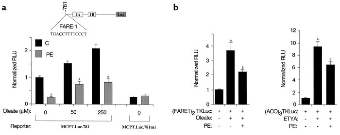 PPARα-mediated transcriptional control of MCPT.Luc.781 is blocked in the...