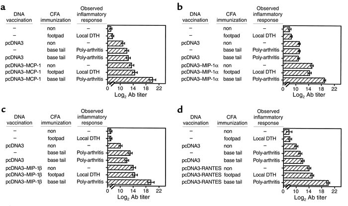 Breakdown of tolerance to self in DNA-vaccinated rats leads to the produ...