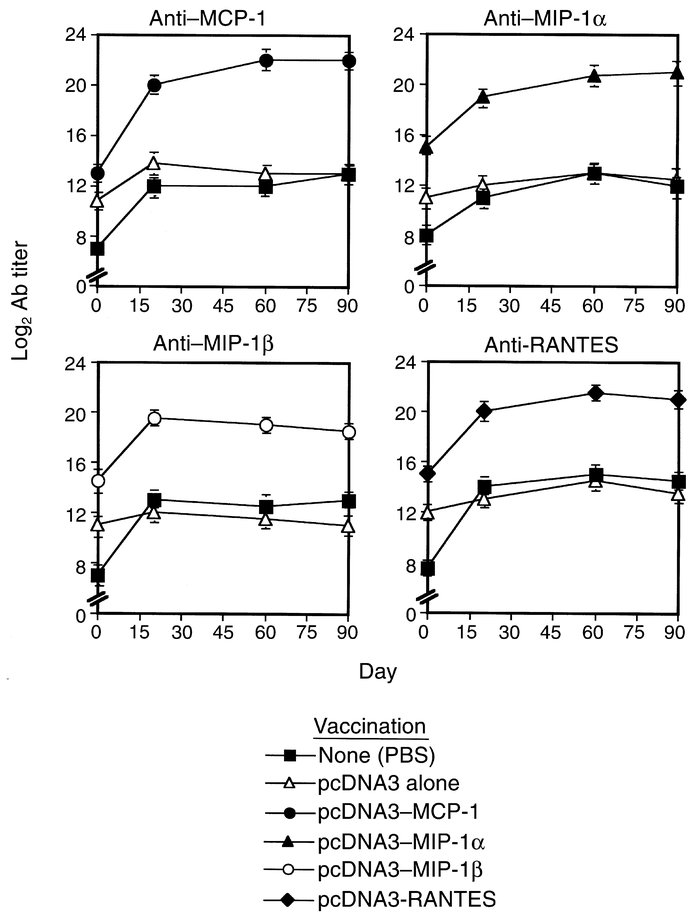 Self-specific Ab’s to the gene product of each DNA vaccine are continual...