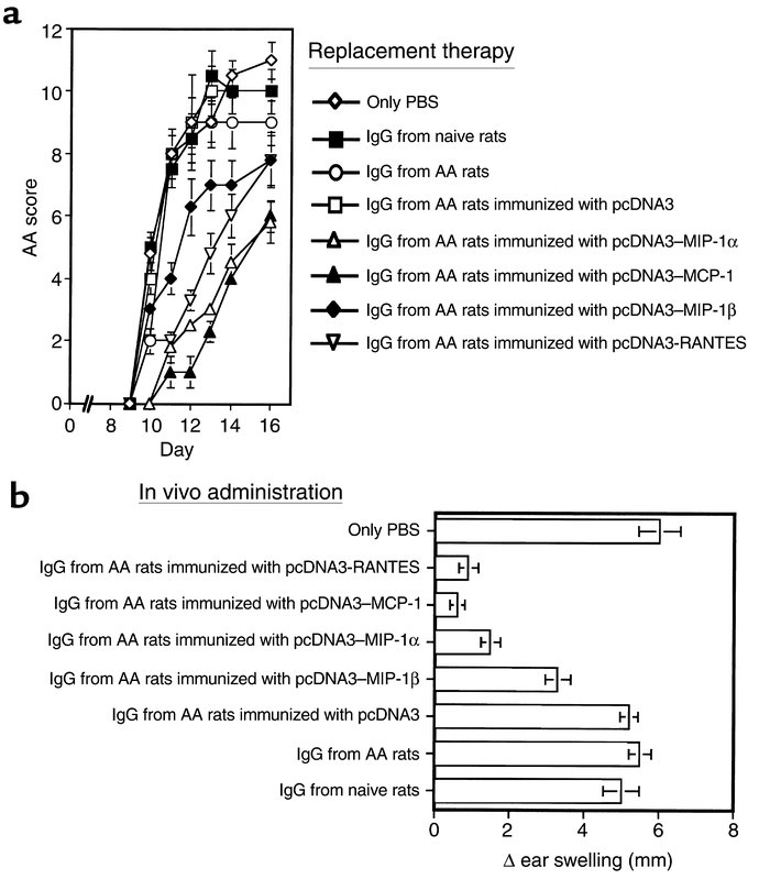 Anti-chemokine Ab’s produced by DNA vaccination block DTH response and p...