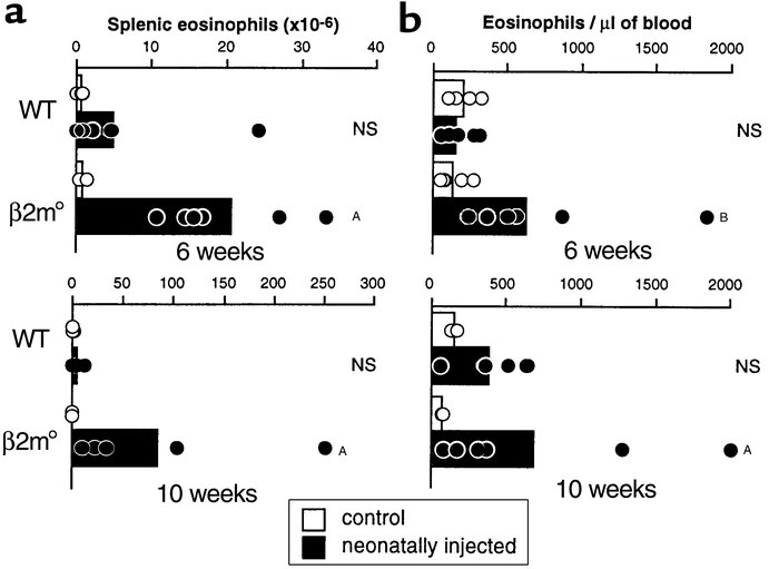 Increased eosinophil number in spleen and blood of β2m° BALB/c mice inje...