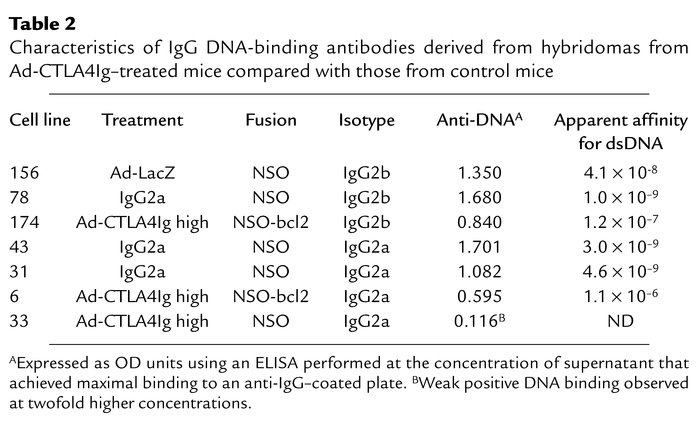 Characteristics of IgG DNA-binding antibodies derived from hybridomas fr...