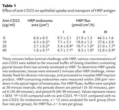 Effect of anti-CD23 on epithelial uptake and transport of HRP antigen