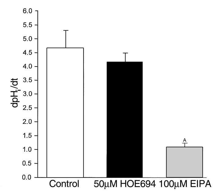 Proximal convoluted tubule sodium-dependent proton secretion in C57Bl/6 ...