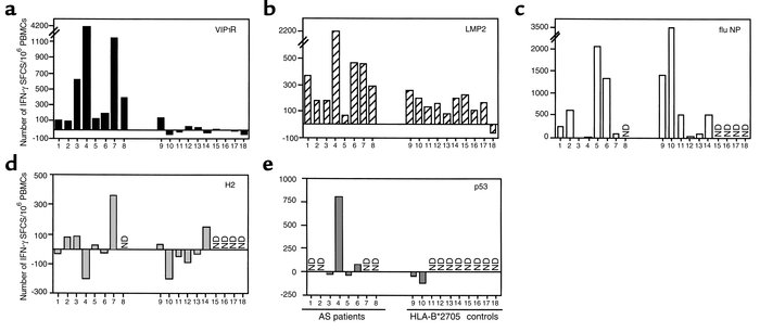 Frequency of VIP1R and LMP2 T-cell responders evaluated by IFN-γ ELISPOT...