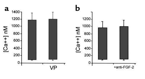 Stage 16 ventral pharynx or anti–FGF-2-neutralizing Ab alone had no effe...