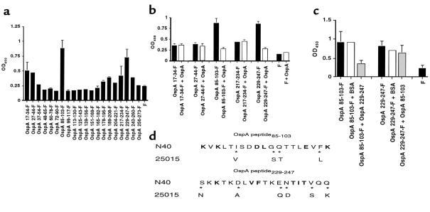 OspA epitopes involved in binding. (a) Relative binding of overlapping O...