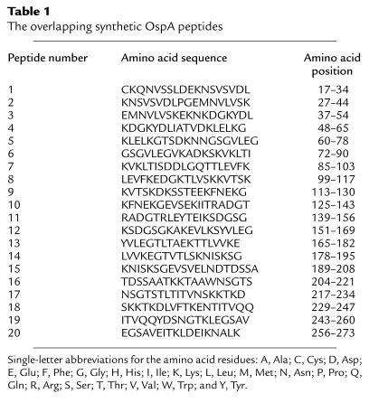 The overlapping synthetic OspA peptides