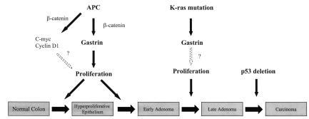 A role for gastrin in the molecular pathogenesis of colorectal cancer.