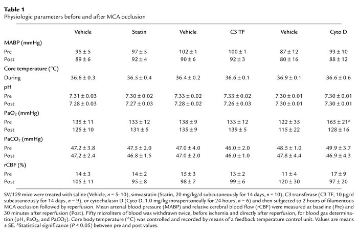 Physiologic parameters before and after MCA occlusion