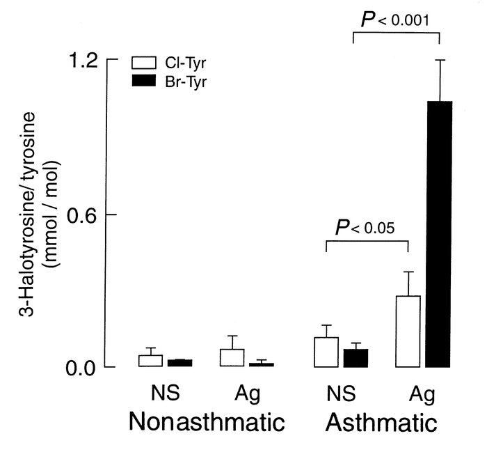 Comparison of protein modification by brominating versus chlorinating ox...