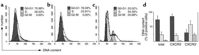 Prevalent CXCR3 expression by HMVECs in the S/G2-M phase of their cycle....