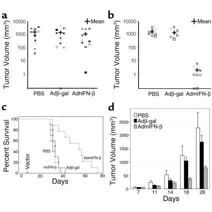 H5.110CMVhIFN-β treatment does not inhibit the growth of a murine colore...