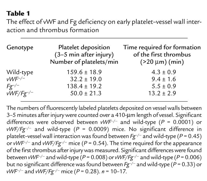 The effect of vWF and Fg deficiency on early platelet–vessel wall intera...