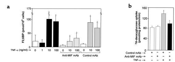 (a) F2,6BP levels in cultured L6 muscle cells (1.4 × 106 cells per well)...