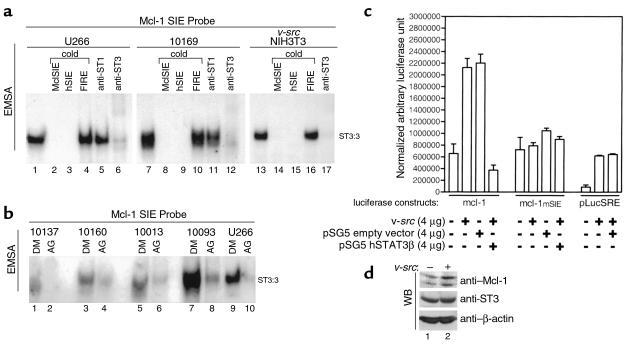 STAT3 DNA-binding to an SIE-like element in the Mcl-1 promoter and trans...