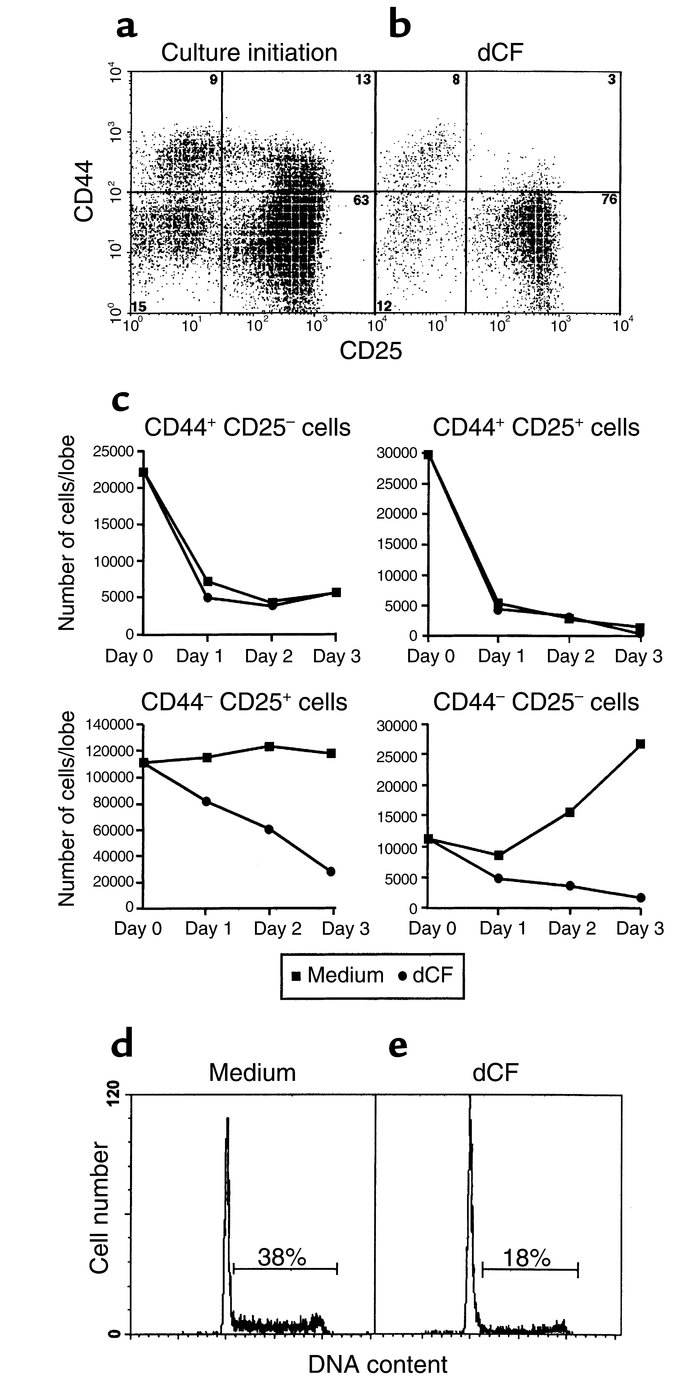 Characterization of thymocytes from ADA-inhibited FTOCs. CD25 and CD44 e...